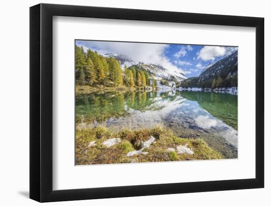 Colorful Trees and Snowy Peaks Reflected in Lai Da Palpuogna, Switzerland-Roberto Moiola-Framed Photographic Print