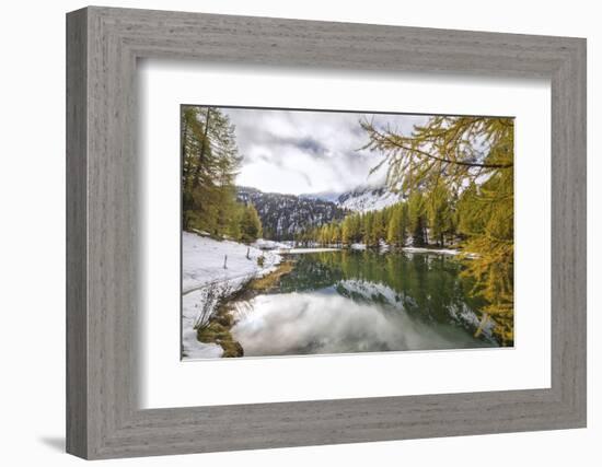 Colorful Trees and Snowy Woods Reflected in Lai Da Palpuogna, Switzerland-Roberto Moiola-Framed Photographic Print