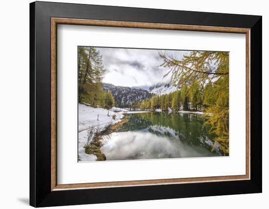 Colorful Trees and Snowy Woods Reflected in Lai Da Palpuogna, Switzerland-Roberto Moiola-Framed Photographic Print