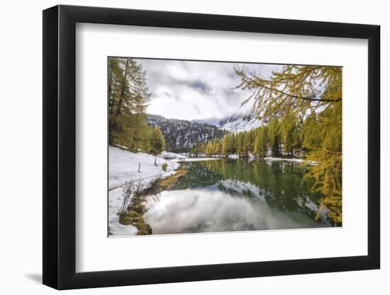 Colorful Trees and Snowy Woods Reflected in Lai Da Palpuogna, Switzerland-Roberto Moiola-Framed Photographic Print