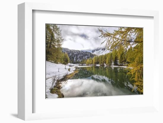 Colorful Trees and Snowy Woods Reflected in Lai Da Palpuogna, Switzerland-Roberto Moiola-Framed Photographic Print