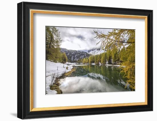 Colorful Trees and Snowy Woods Reflected in Lai Da Palpuogna, Switzerland-Roberto Moiola-Framed Photographic Print