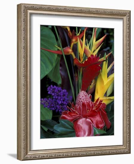 Colorful Tropical Flowers, Hawaii, USA-Merrill Images-Framed Photographic Print