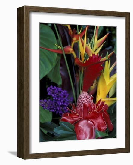 Colorful Tropical Flowers, Hawaii, USA-Merrill Images-Framed Photographic Print