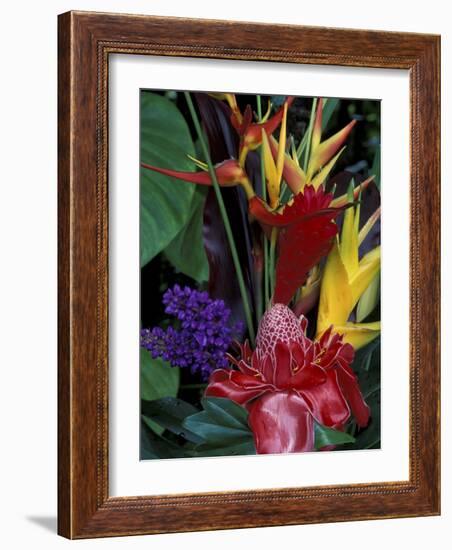 Colorful Tropical Flowers, Hawaii, USA-Merrill Images-Framed Photographic Print