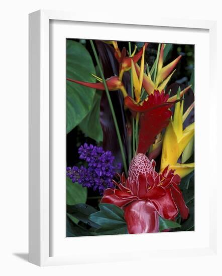 Colorful Tropical Flowers, Hawaii, USA-Merrill Images-Framed Photographic Print