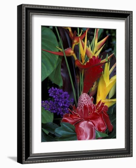 Colorful Tropical Flowers, Hawaii, USA-Merrill Images-Framed Photographic Print