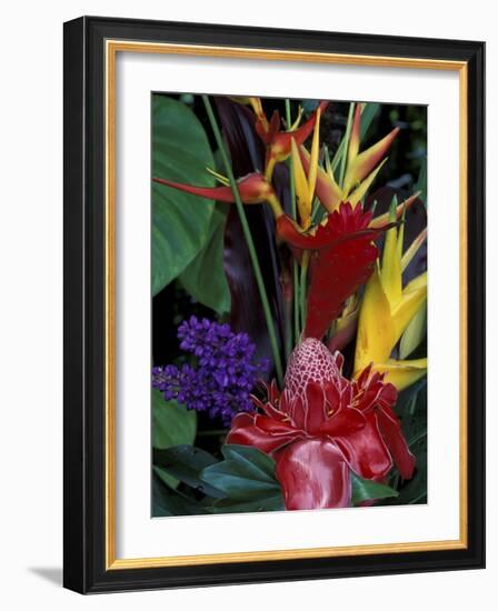 Colorful Tropical Flowers, Hawaii, USA-Merrill Images-Framed Photographic Print