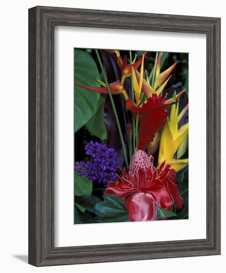 Colorful Tropical Flowers, Hawaii, USA-Merrill Images-Framed Photographic Print