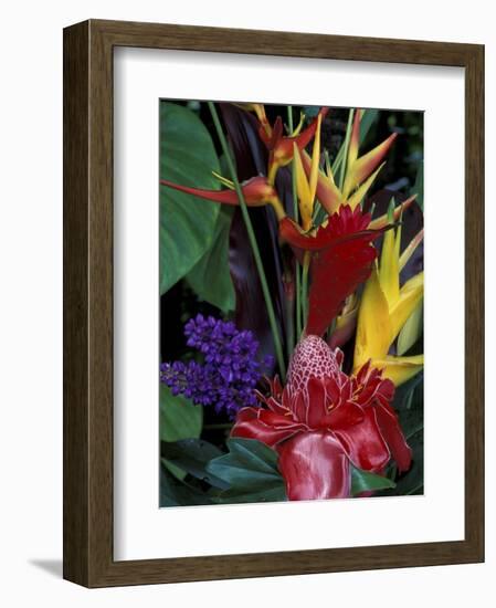 Colorful Tropical Flowers, Hawaii, USA-Merrill Images-Framed Photographic Print