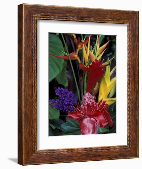 Colorful Tropical Flowers, Hawaii, USA-Merrill Images-Framed Photographic Print