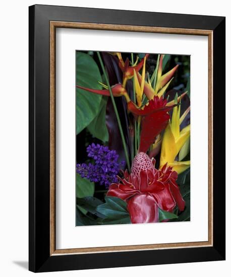 Colorful Tropical Flowers, Hawaii, USA-Merrill Images-Framed Photographic Print