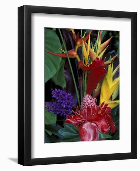 Colorful Tropical Flowers, Hawaii, USA-Merrill Images-Framed Photographic Print