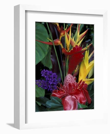 Colorful Tropical Flowers, Hawaii, USA-Merrill Images-Framed Photographic Print