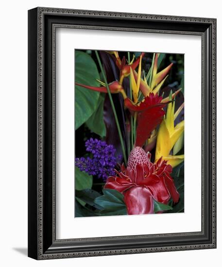 Colorful Tropical Flowers, Hawaii, USA-Merrill Images-Framed Photographic Print
