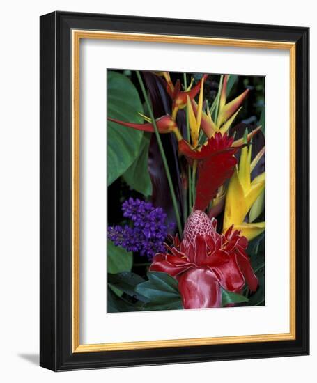 Colorful Tropical Flowers, Hawaii, USA-Merrill Images-Framed Photographic Print