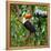 Colorful Tucan in the Wild-Fedor Selivanov-Framed Stretched Canvas