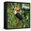 Colorful Tucan in the Wild-Fedor Selivanov-Framed Stretched Canvas