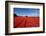 Colorful tulip fields, Edendale, Southland, South Island, New Zealand-David Wall-Framed Photographic Print