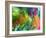 Colorful Watercolor Painting 1-Kathie Nichols-Framed Art Print