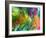 Colorful Watercolor Painting 1-Kathie Nichols-Framed Art Print