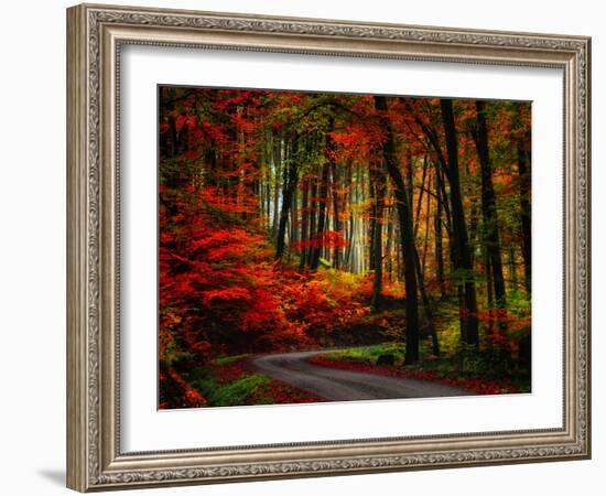 Colorful Way-Philippe Sainte-Laudy-Framed Photographic Print