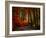 Colorful Way-Philippe Sainte-Laudy-Framed Photographic Print