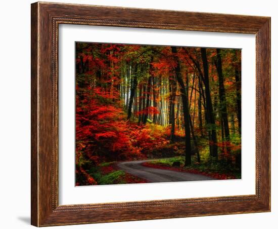 Colorful Way-Philippe Sainte-Laudy-Framed Photographic Print