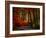 Colorful Way-Philippe Sainte-Laudy-Framed Photographic Print