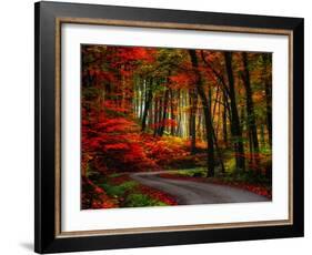 Colorful Way-Philippe Sainte-Laudy-Framed Photographic Print