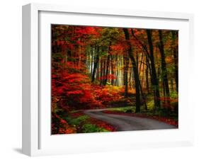 Colorful Way-Philippe Sainte-Laudy-Framed Photographic Print
