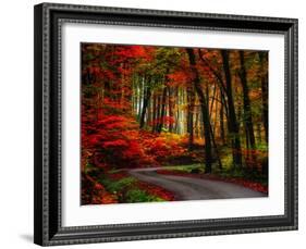 Colorful Way-Philippe Sainte-Laudy-Framed Photographic Print