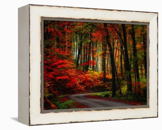 Colorful Way-Philippe Sainte-Laudy-Framed Premier Image Canvas