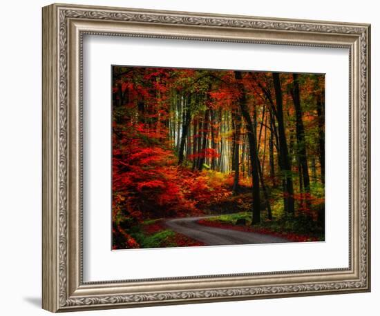 Colorful Way-Philippe Sainte-Laudy-Framed Photographic Print