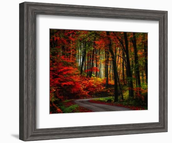 Colorful Way-Philippe Sainte-Laudy-Framed Photographic Print