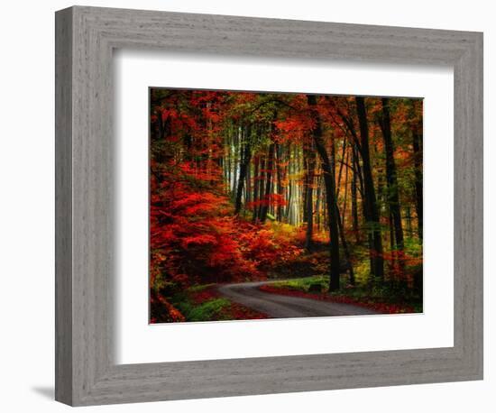 Colorful Way-Philippe Sainte-Laudy-Framed Photographic Print