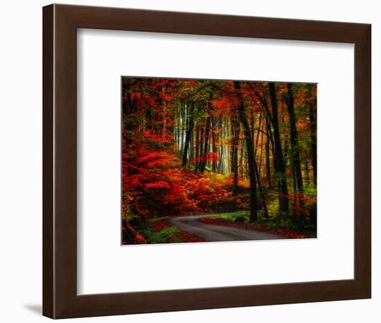 Colorful Way-Philippe Sainte-Laudy-Framed Photographic Print