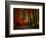 Colorful Way-Philippe Sainte-Laudy-Framed Photographic Print