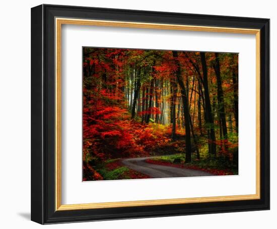 Colorful Way-Philippe Sainte-Laudy-Framed Photographic Print