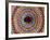 Colorful Wheel For Carriages, Costa Rica-Bill Bachmann-Framed Photographic Print