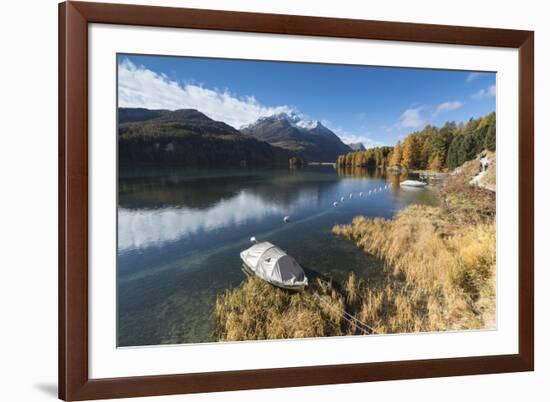 Colorful woods reflected in Lake Sils during autumn, Maloja, Canton of Graubunden, Engadine, Switze-Roberto Moiola-Framed Photographic Print