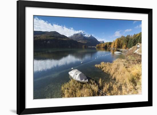 Colorful woods reflected in Lake Sils during autumn, Maloja, Canton of Graubunden, Engadine, Switze-Roberto Moiola-Framed Photographic Print