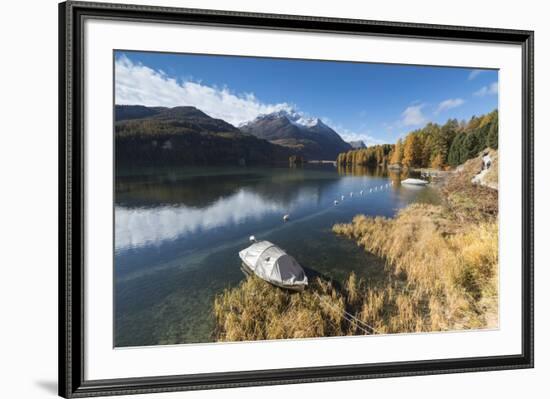 Colorful woods reflected in Lake Sils during autumn, Maloja, Canton of Graubunden, Engadine, Switze-Roberto Moiola-Framed Photographic Print