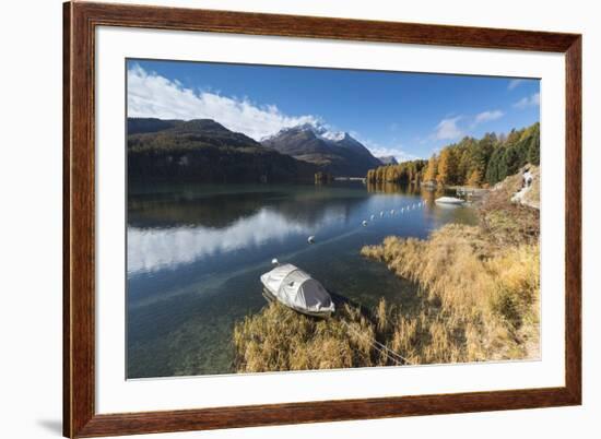 Colorful woods reflected in Lake Sils during autumn, Maloja, Canton of Graubunden, Engadine, Switze-Roberto Moiola-Framed Photographic Print