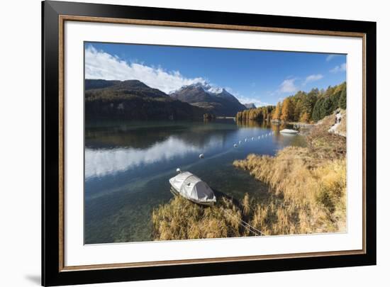 Colorful woods reflected in Lake Sils during autumn, Maloja, Canton of Graubunden, Engadine, Switze-Roberto Moiola-Framed Photographic Print