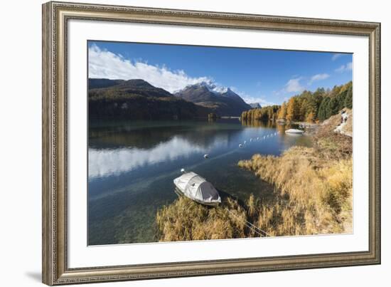 Colorful woods reflected in Lake Sils during autumn, Maloja, Canton of Graubunden, Engadine, Switze-Roberto Moiola-Framed Photographic Print