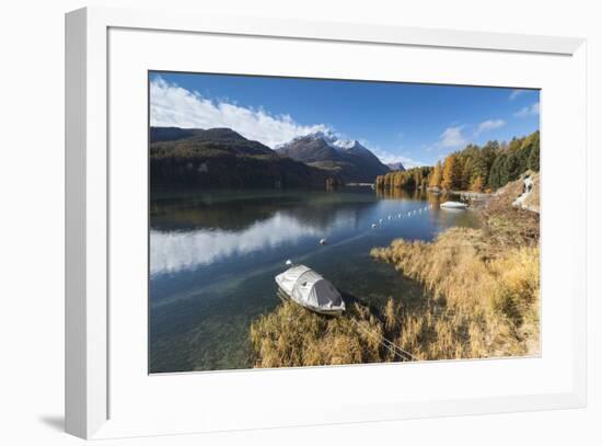 Colorful woods reflected in Lake Sils during autumn, Maloja, Canton of Graubunden, Engadine, Switze-Roberto Moiola-Framed Photographic Print
