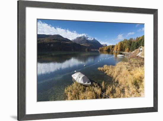 Colorful woods reflected in Lake Sils during autumn, Maloja, Canton of Graubunden, Engadine, Switze-Roberto Moiola-Framed Photographic Print