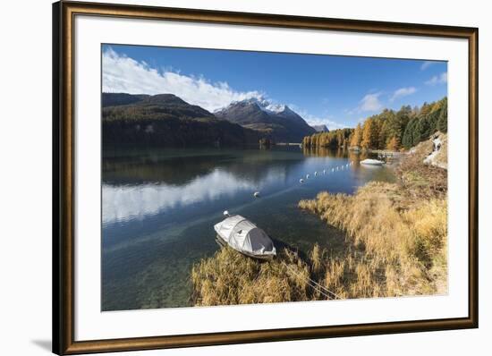 Colorful woods reflected in Lake Sils during autumn, Maloja, Canton of Graubunden, Engadine, Switze-Roberto Moiola-Framed Photographic Print