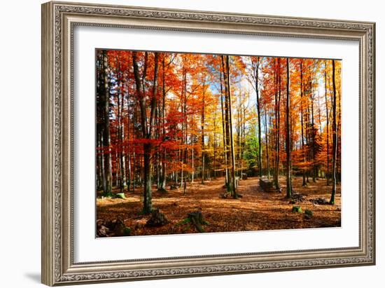 Colorful World-Philippe Sainte-Laudy-Framed Photographic Print